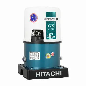 ปั๊มน้ำ WT-P250GX2 MGN 250